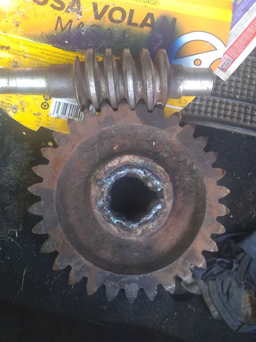 Pinioane troliu forestier