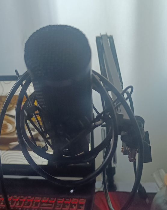 микрофон+пантографн