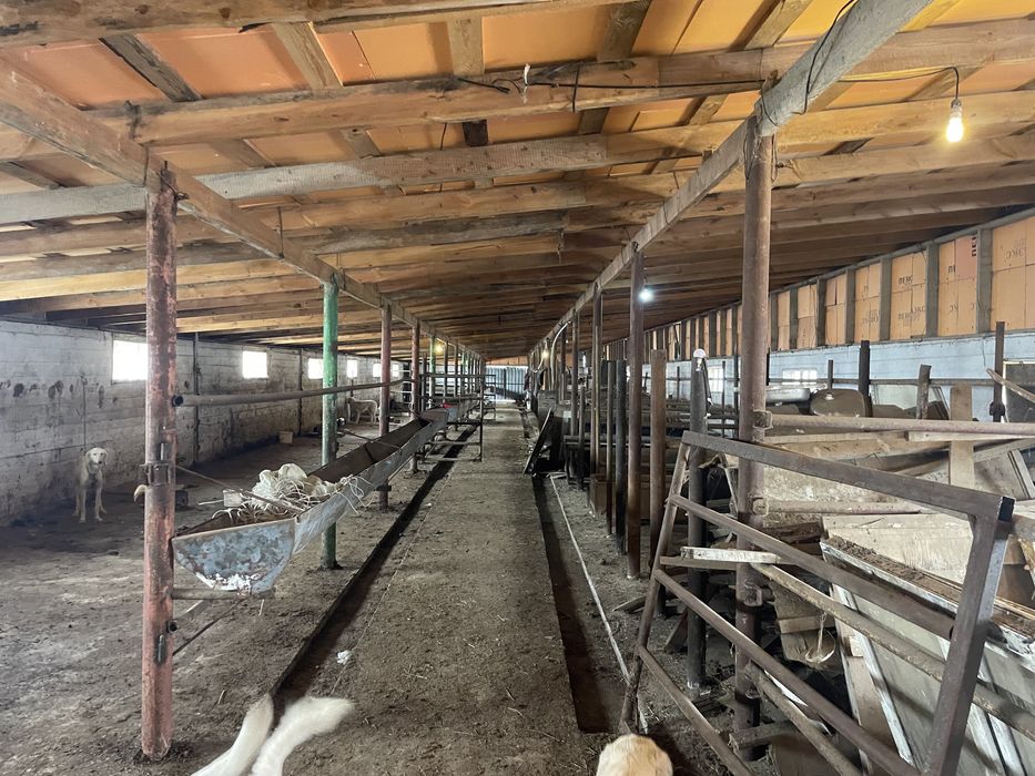 Фазенда, крестянское хозяйство.ТОРГ