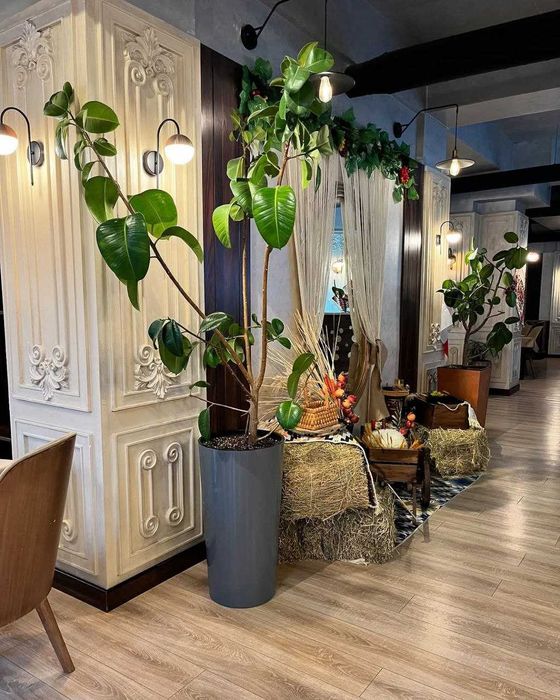 Продается ресторан - Яккасарайский район