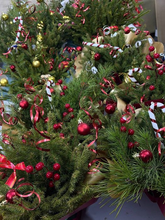 Композиции из Ели