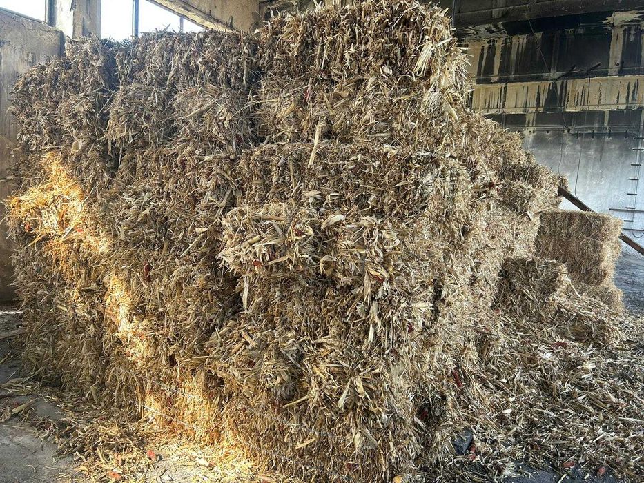 Baloti de ciocani la 15 lei buc