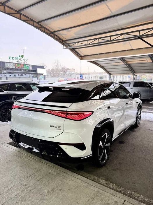 byd sealion pad zakaz