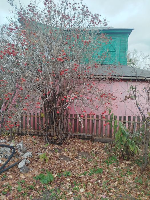 Продам дачу в Сортировке