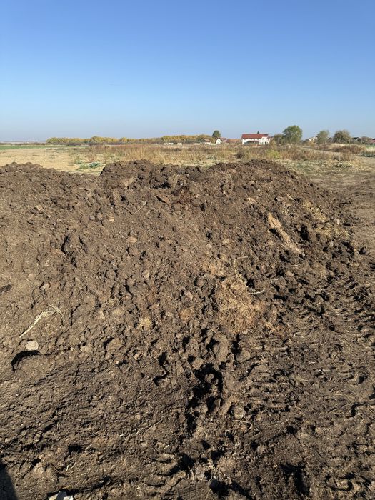 Vând mraniță și pământ negru de grădină