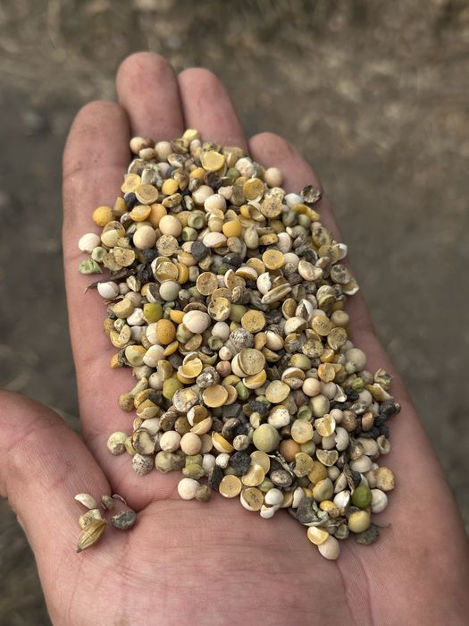 Отходы гороха, льна, рапса