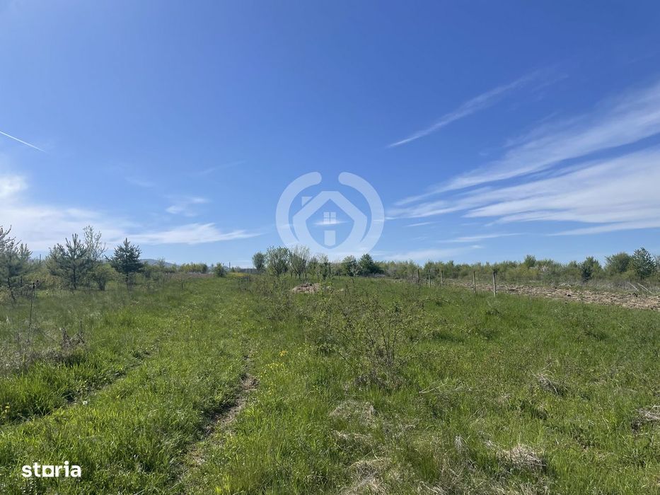 Vanzare Teren Intravilan | 1200 Mp | Poplaca, Sibiu
