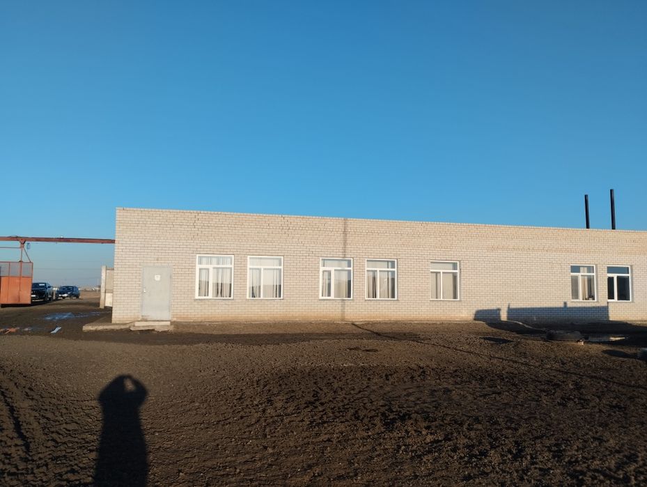Продам крестьянское хозяйство