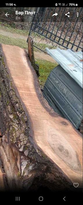 янове талпи орех