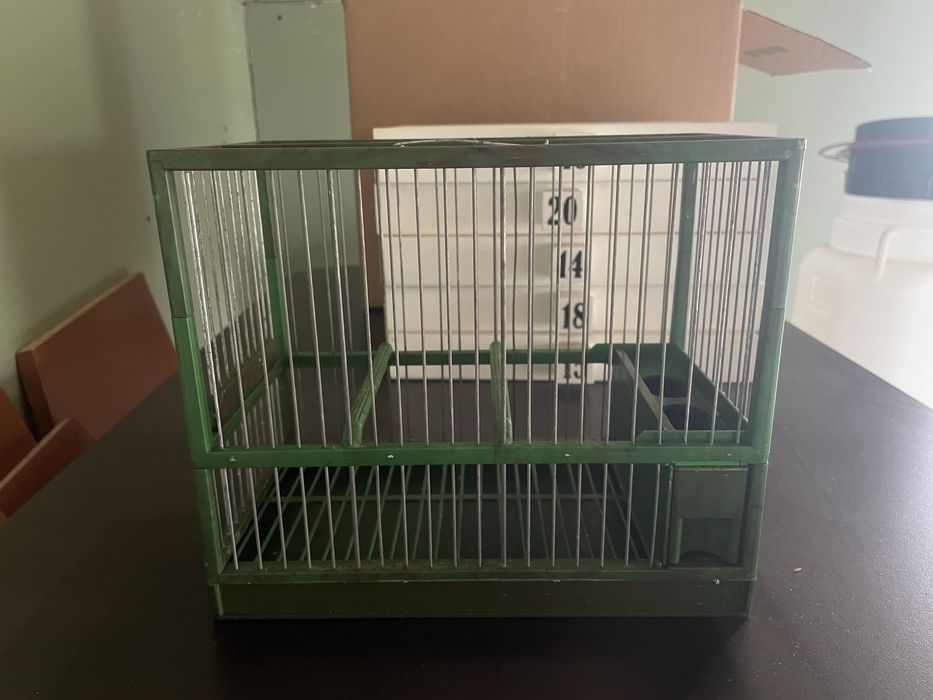 vand colivii C2 canari