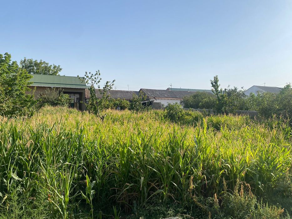 Ховли,сотилади, срочно