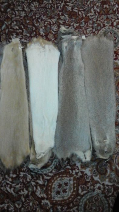 Blanuri Nutrie Diverse Culori