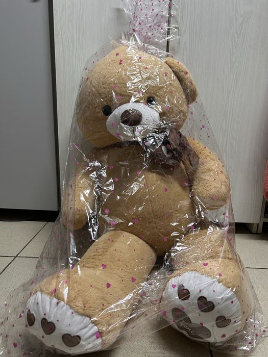 Медвежёнок продаааам за 20 тысяч,цена договорная новааааааааааааааяяяя