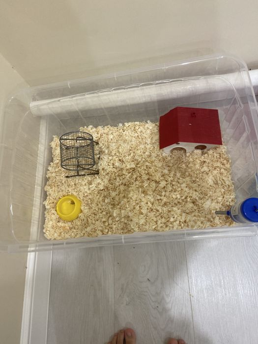 Клетка для хомяка