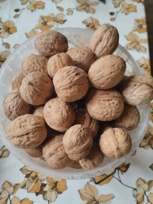 Продам грецкие орехи