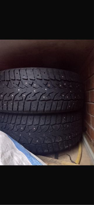 Продам шины compasal winterstud