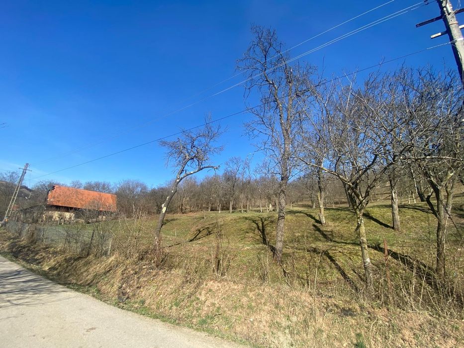 Livadă cu pomi fructiferi, teren intravilan la 50 km de Cluj-Napoca