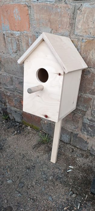 Продам птичье гнездо