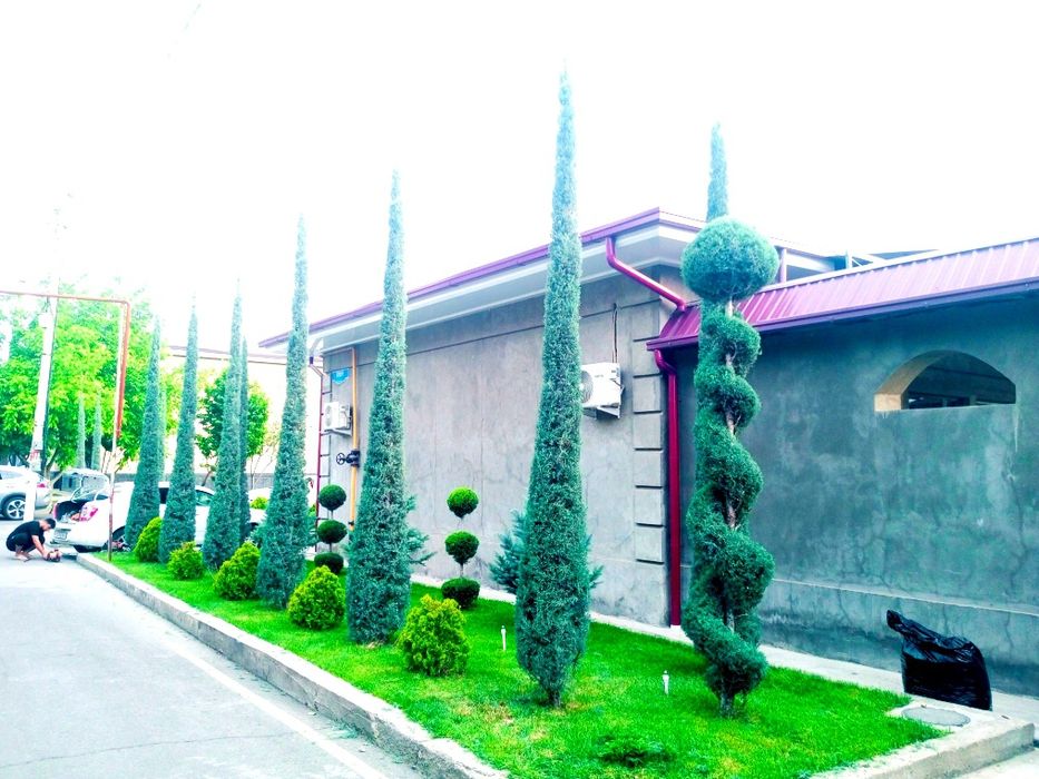 Archa kesish dorilash va Gazon ikkish