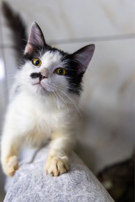 Малышка ищет дом и семью!