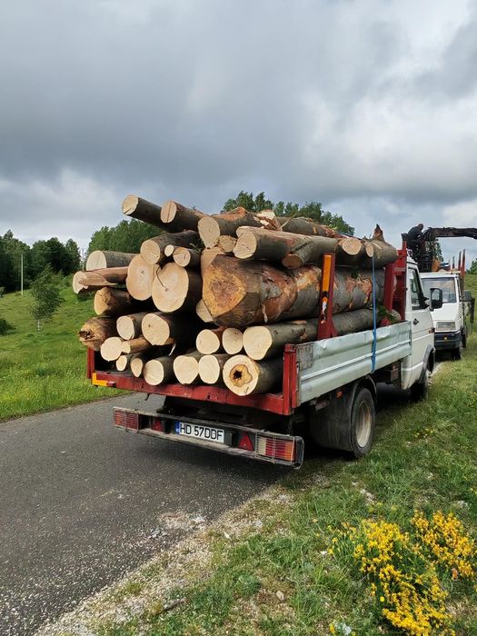 Fag Stejar !!! Lemn de foc! Adus la domiciliu clientului! Detalii la numărul de telefon!