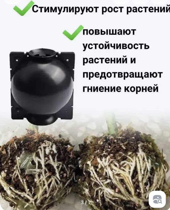 Многоразовые шары для укоренения растений – идеальное решение для садо