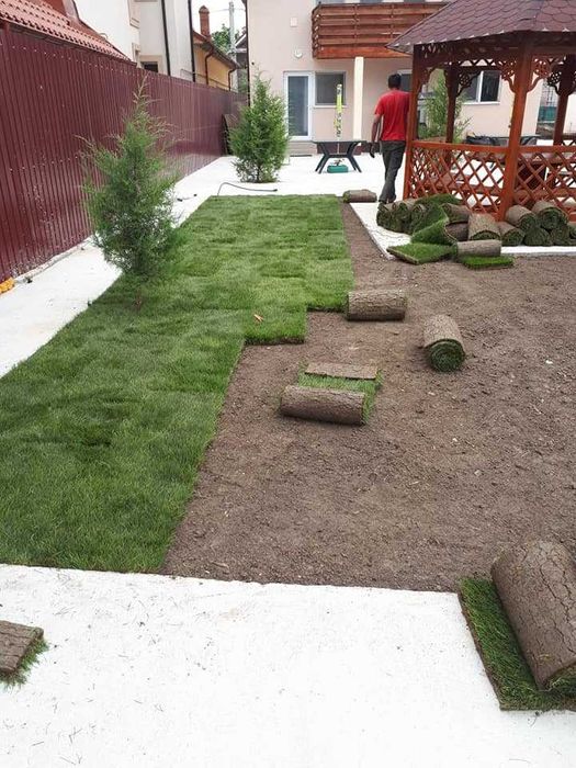 Amenajare si intretinere grădini, toaletare pomi fructiferi!