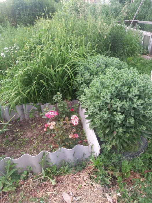 Продам дачу (зимний вариант)