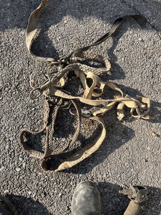 Продам ат саймандарын..