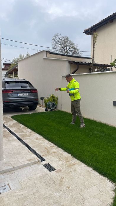 Gazon natural rulouri