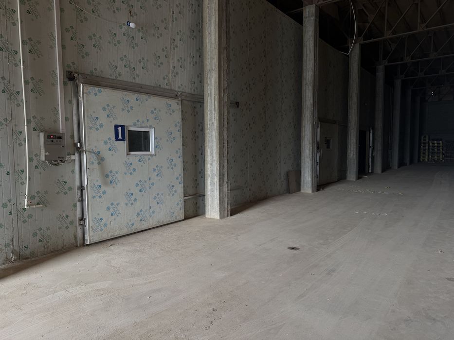 Аренда Холодильных и морозилных складов