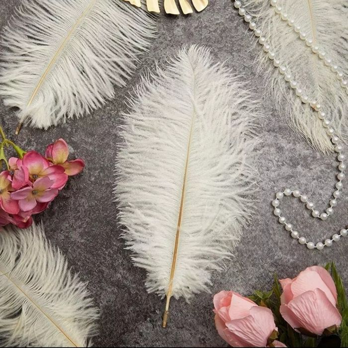 Топ качество! Щраусови бели пера за декорация