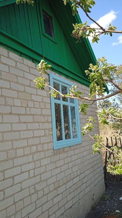 Продам дачу в обществе Ромашка