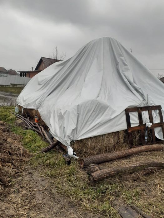 Vând baloți de lucernă