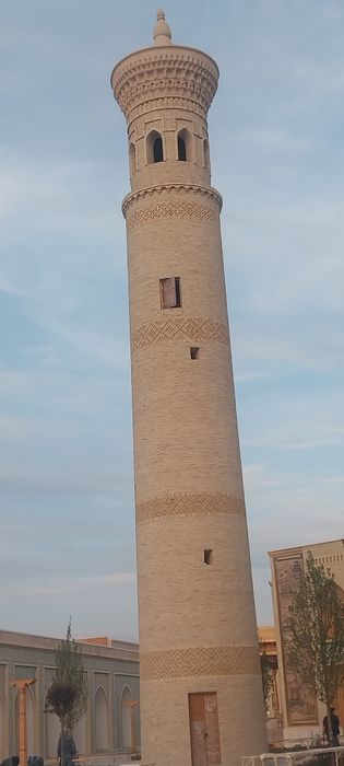 Облесовка гиштларини терамиз