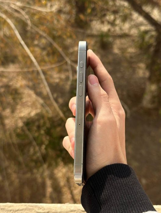 iPhone 15 pro 12/256