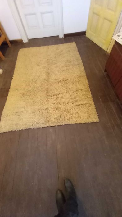 Чисто ново халище