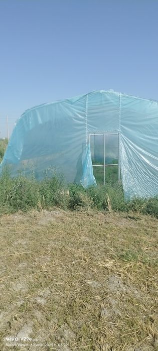 Парник 1 сотикли.