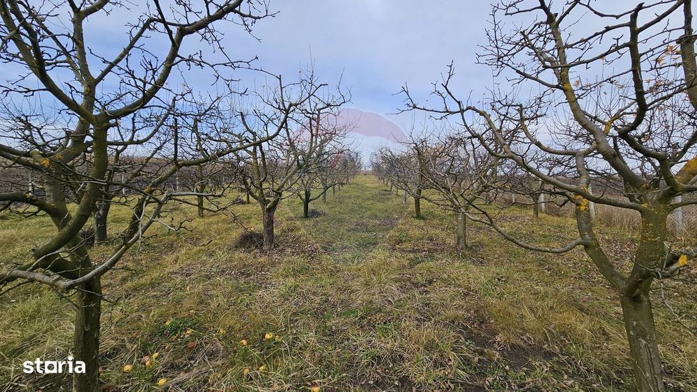 Teren extravilan 10,791mp Falticeni / Strada DJ209A, Opriseni
