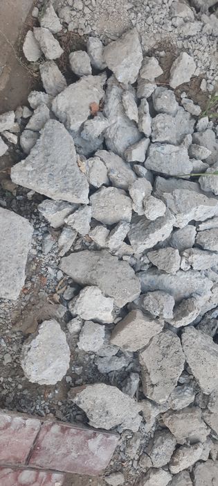 Бесплатно тегін беремін