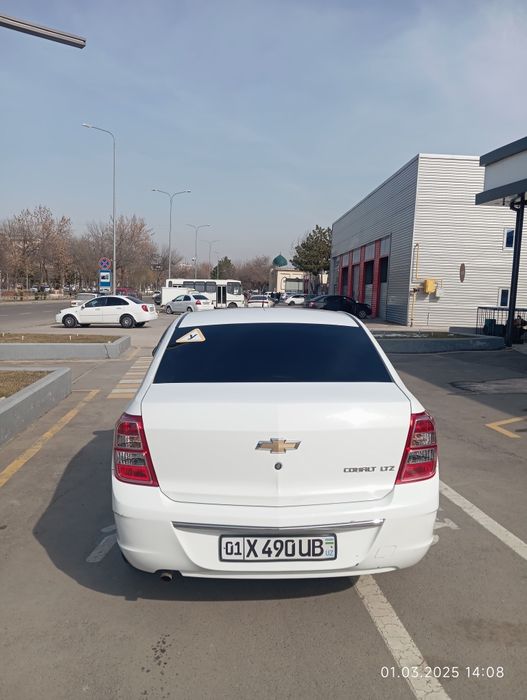 Cobalt 4 pazitsa