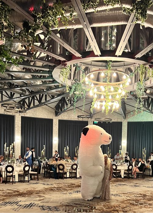 Surprize cu ursul gigant ( Teddy Bear )