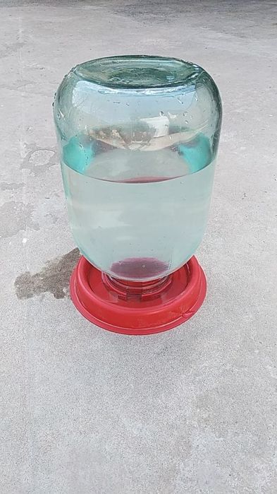 Кармушка паилка для кури и циплтий