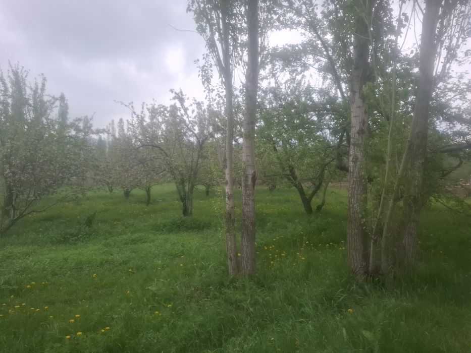 Жер сатылады 80 соттық