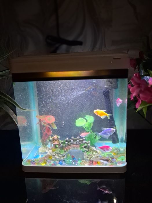 Продам аквариум с рыбками