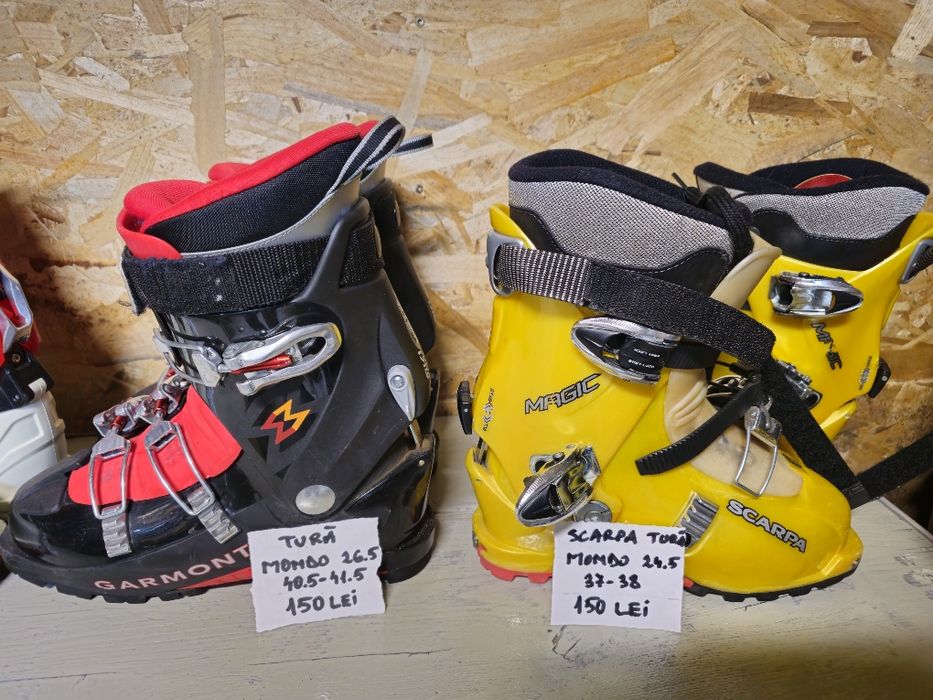 Vand clapari tura doar cei galbeni