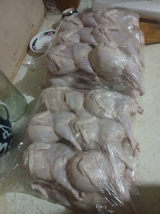 Белый гигант бедана