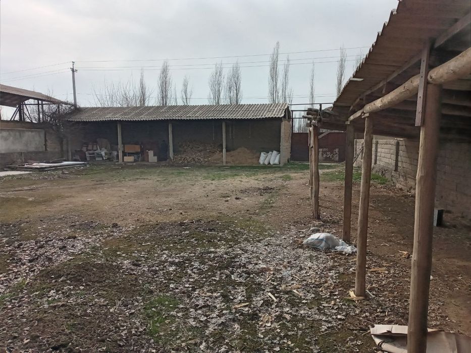 Platina tarafda. Uchaska sotiladi 16.5 sotix