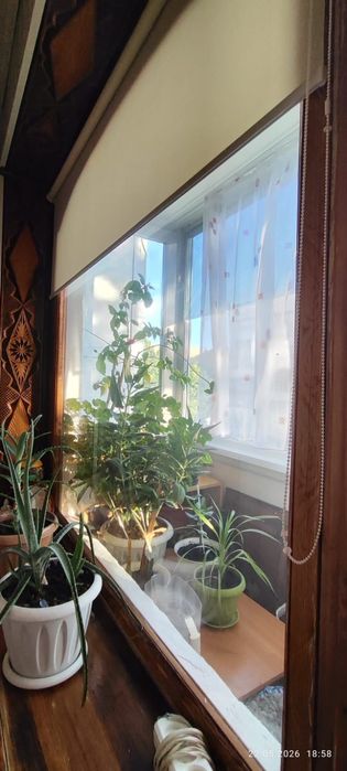 Продам 3-хком квартиру на Дошкольнике