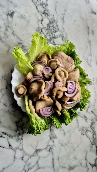 Грузди соленые, подтопольники